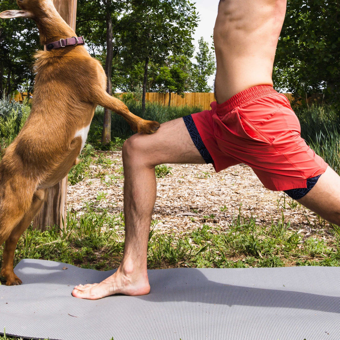 Compression Shorts Tips & Tricks by Shinesty