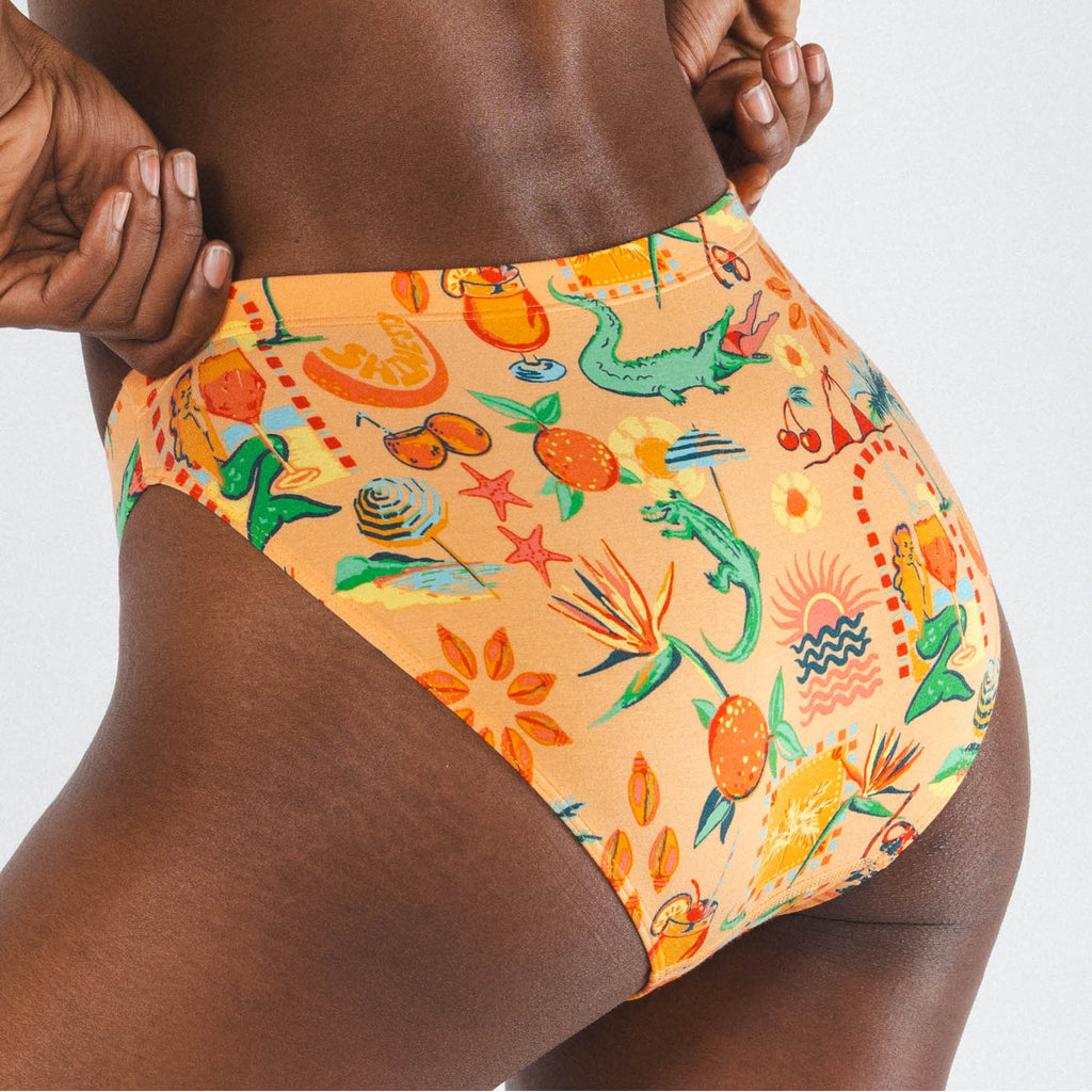 The Sunshine State | Creamsicle Summer Modal Bikini Underwear - Shinesty