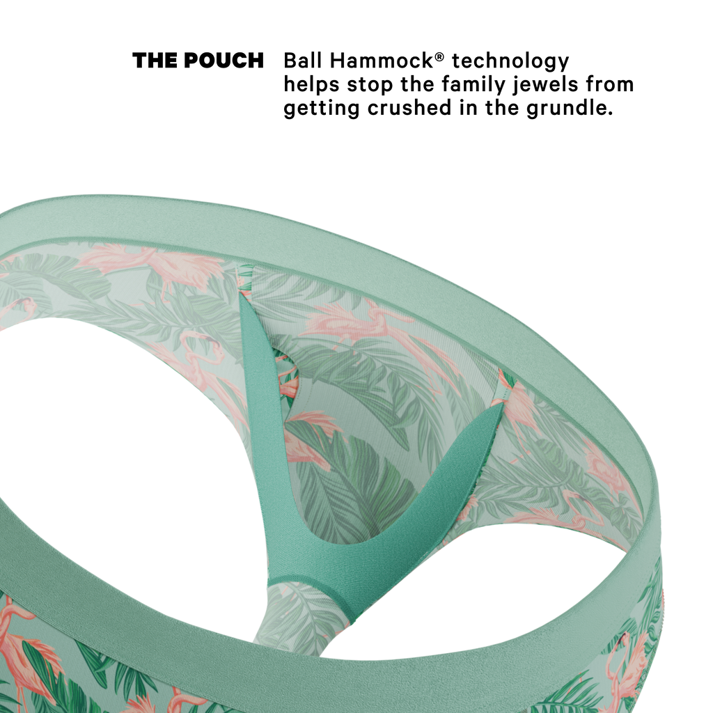 The Flamboyance | Flamingo Ball Hammock® Pouch Underwear Briefs - Shinesty