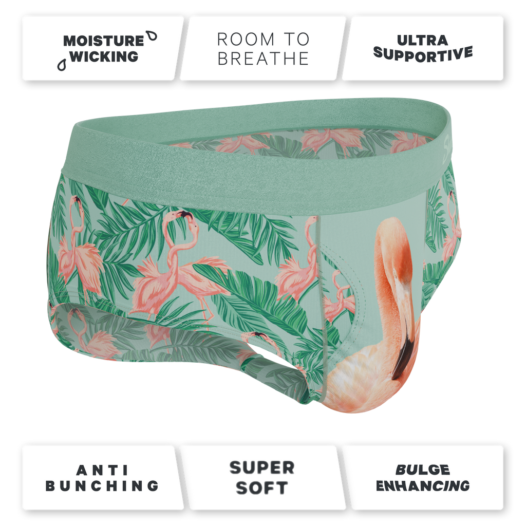 The Flamboyance | Flamingo Ball Hammock® Pouch Underwear Briefs - Shinesty