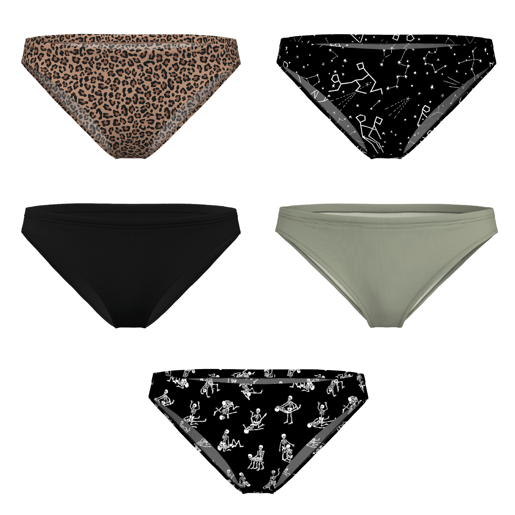 The Historical Bests | Bikini Underwear 5 Pack - Shinesty