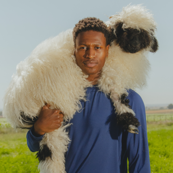 Man in a navy MicroModal pajama shirt carrying a shaggy black-nosed sheep across his shoulders in a green field