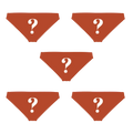 The Mystery Bundle | Bikini Underwear 5 Pack - Shinesty