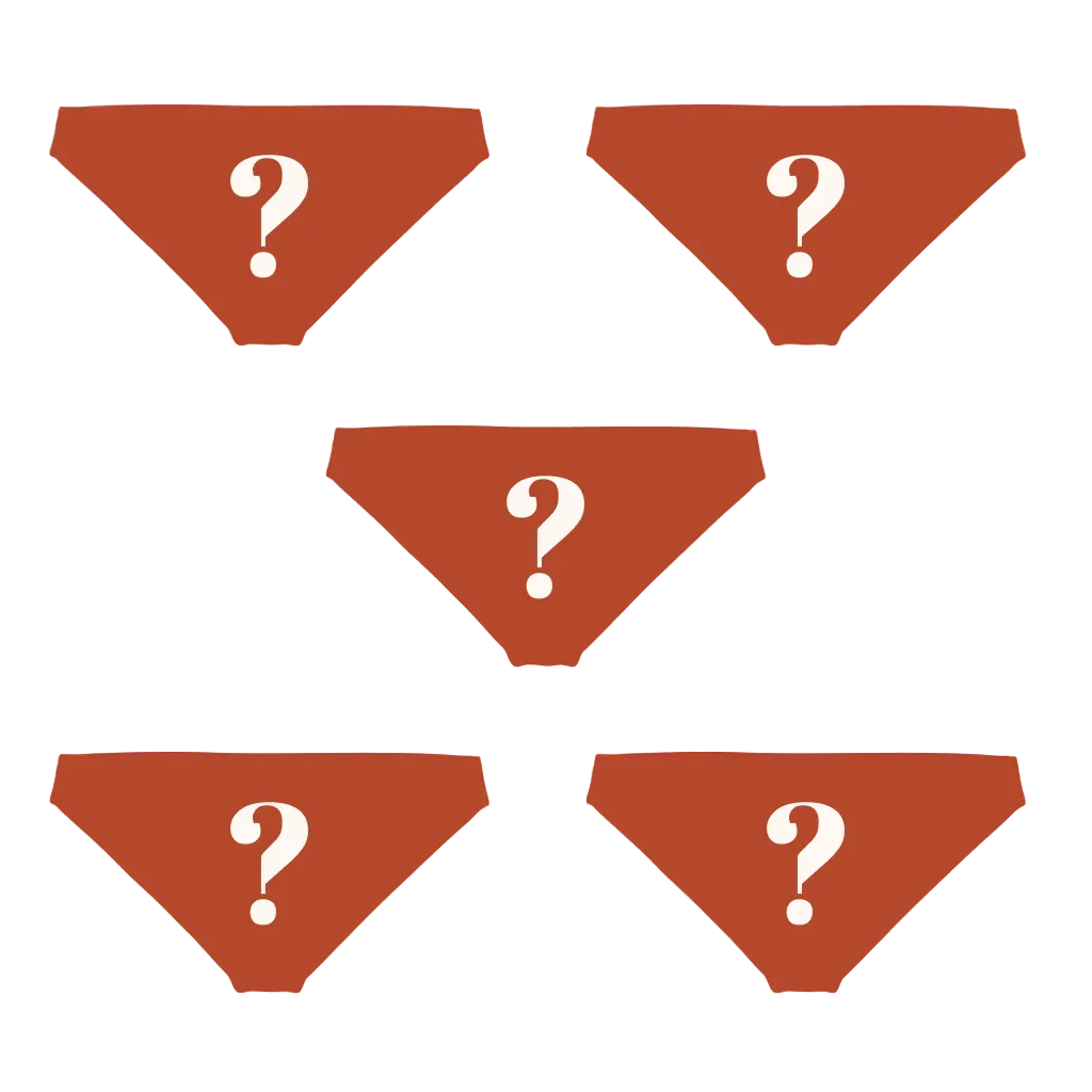 The Mystery Bundle | Bikini Underwear 5 Pack - Shinesty