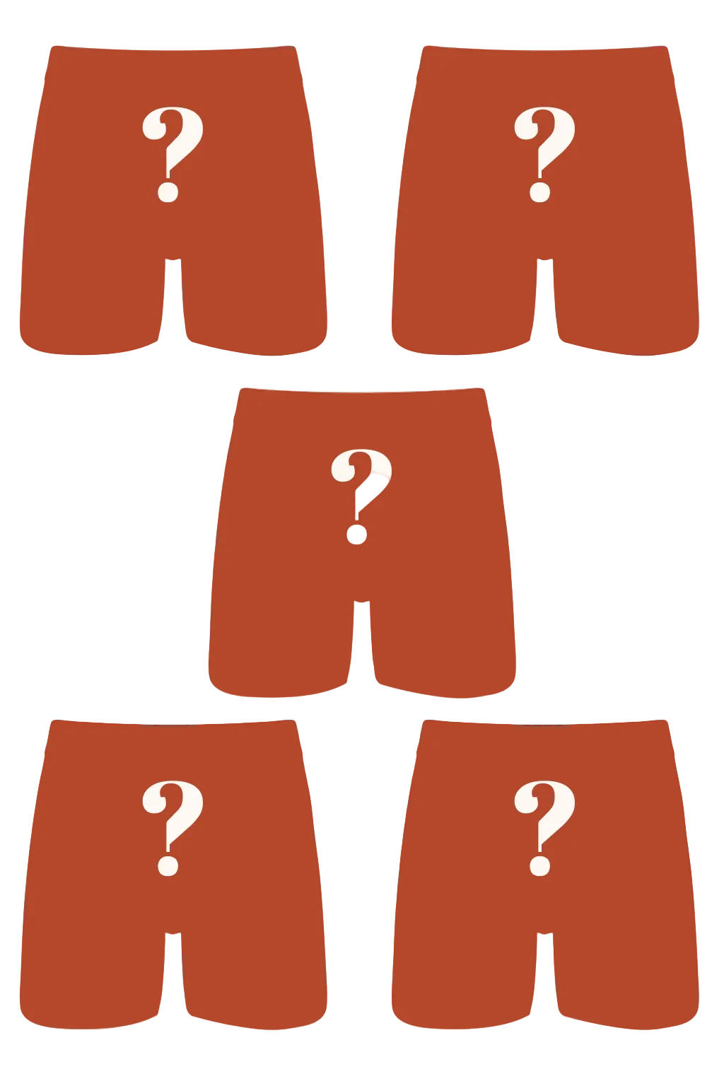 The Mystery Bundle | Ball Hammock® Boxer Brief 5 Pack - Shinesty