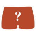 The Mystery | Surprise Modal Boyshort Underwear
