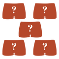 The Mystery Bundle | Boyshort Underwear 5 Pack - Shinesty