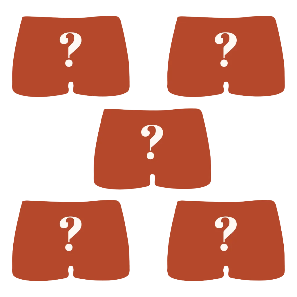 The Mystery Bundle | Boyshort Underwear 5 Pack - Shinesty
