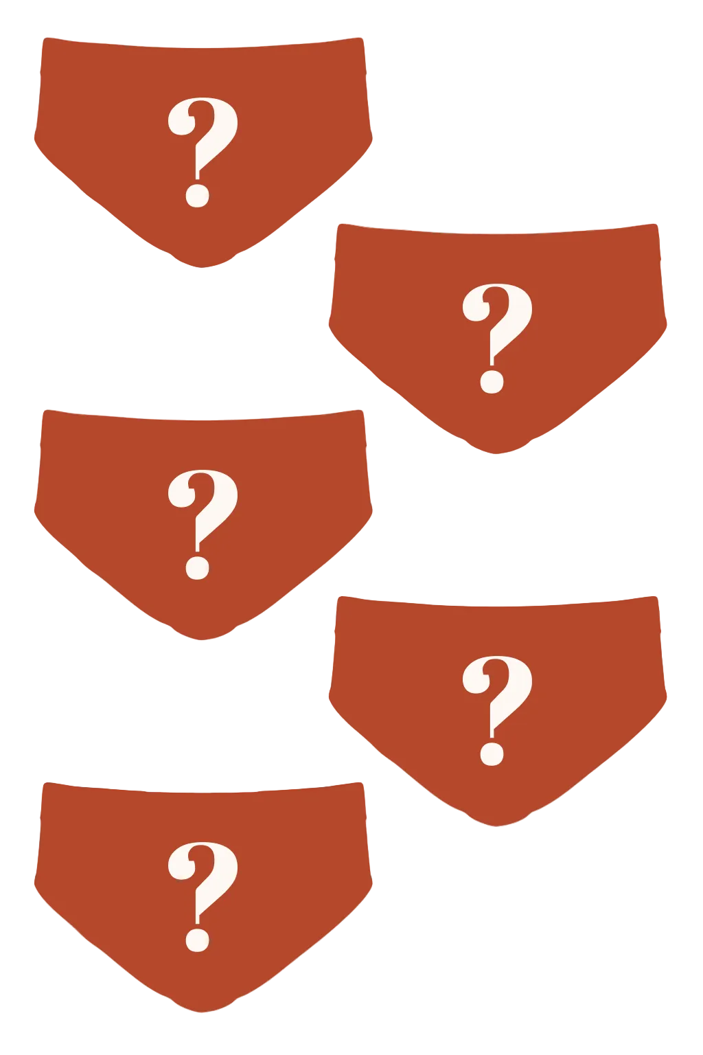 The Mystery Bundle | Ball Hammock® Pouch Briefs 5 Pack - Shinesty