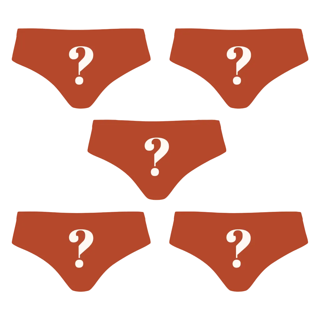 The Mystery Bundle | Cheeky Underwear 5 Pack - Shinesty