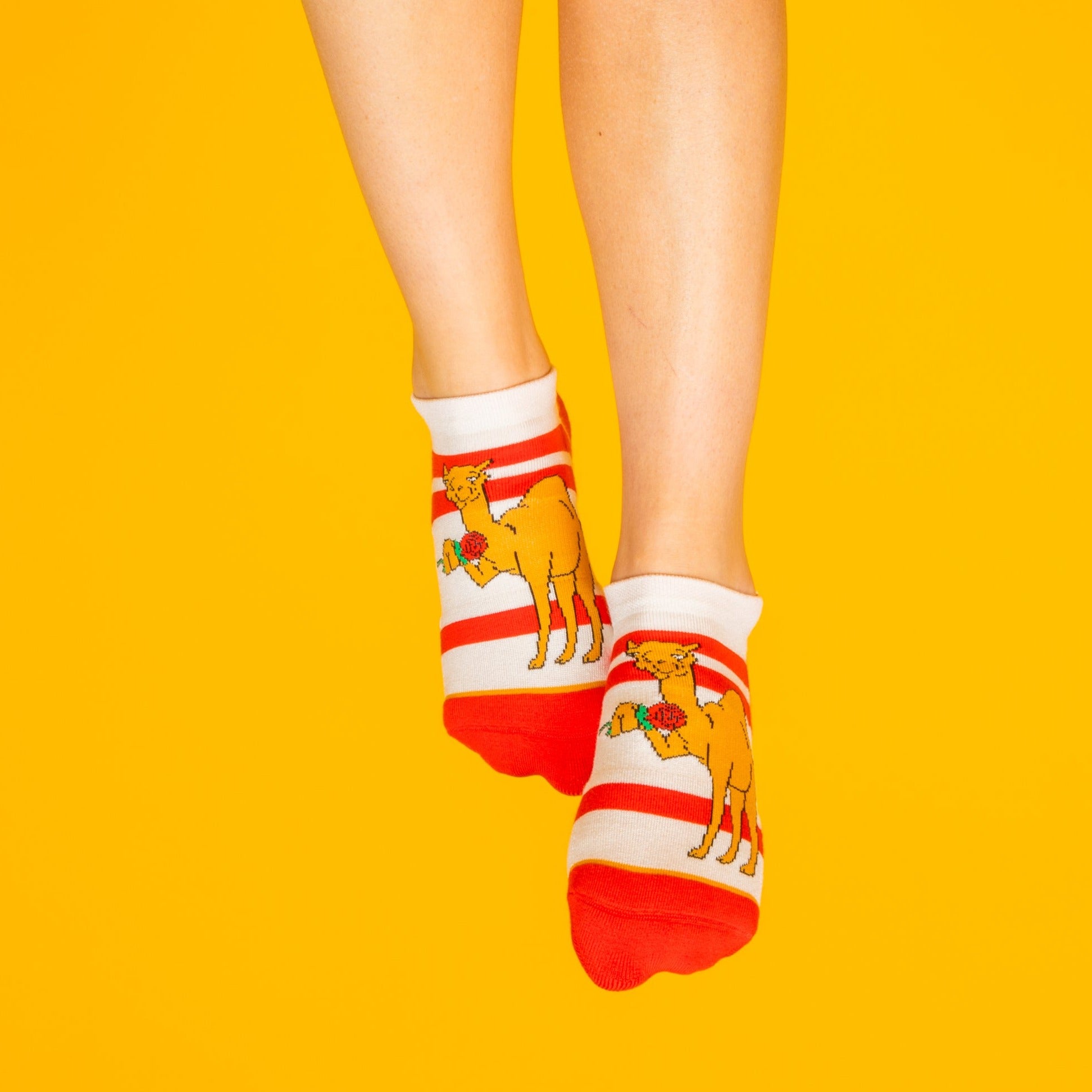 The Hump Day | Camel Heel Hammock™ Ankle Socks - Shinesty