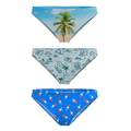 The Women Summer Essentials | Bikini Underwear 3 Pack - Shinesty