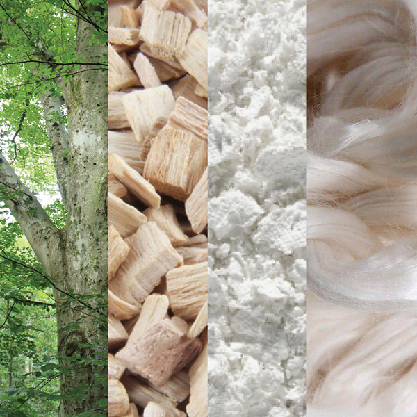 Beechwood forest, wood chips, white pulp and raw fiber side by side: how Shinesty women's MicroModal begins as a tree