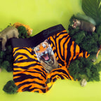 The Feral Feline | Tiger Print Youth Boxer Briefs - Shinesty