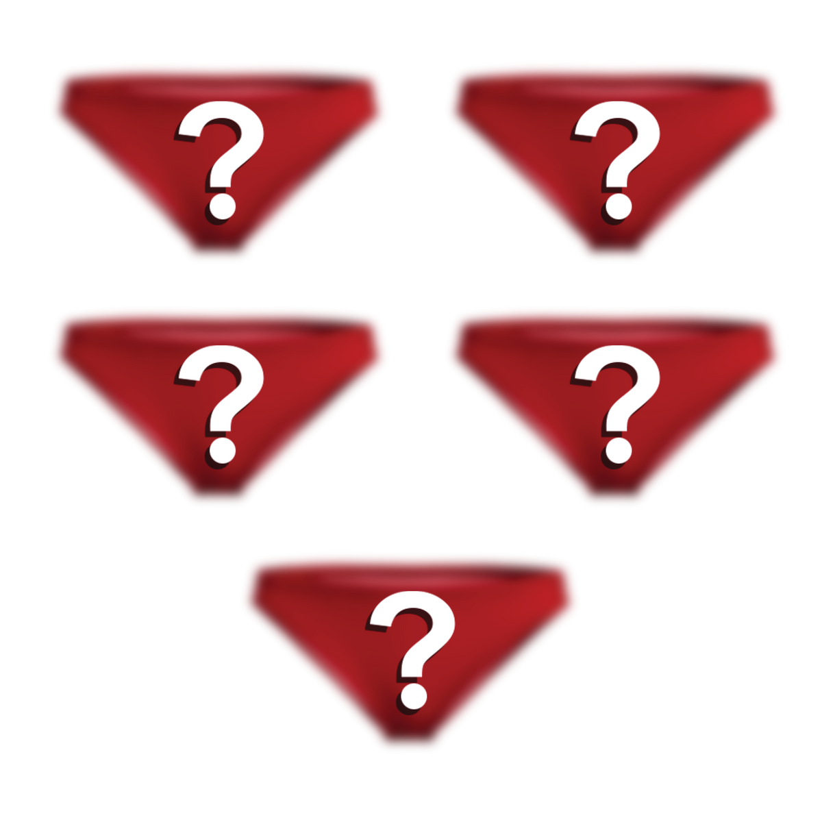 The Mystery Bundle | Bikini Underwear 5 Pack - Shinesty