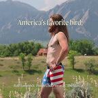 The Mascot | American Flag Ball Hammock® Pouch Underwear With Fly - Shinesty