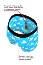 The Polar Plunge | Polar Bear Ball Hammock® Boxer and Cheeky Underwear Pack - Shinesty