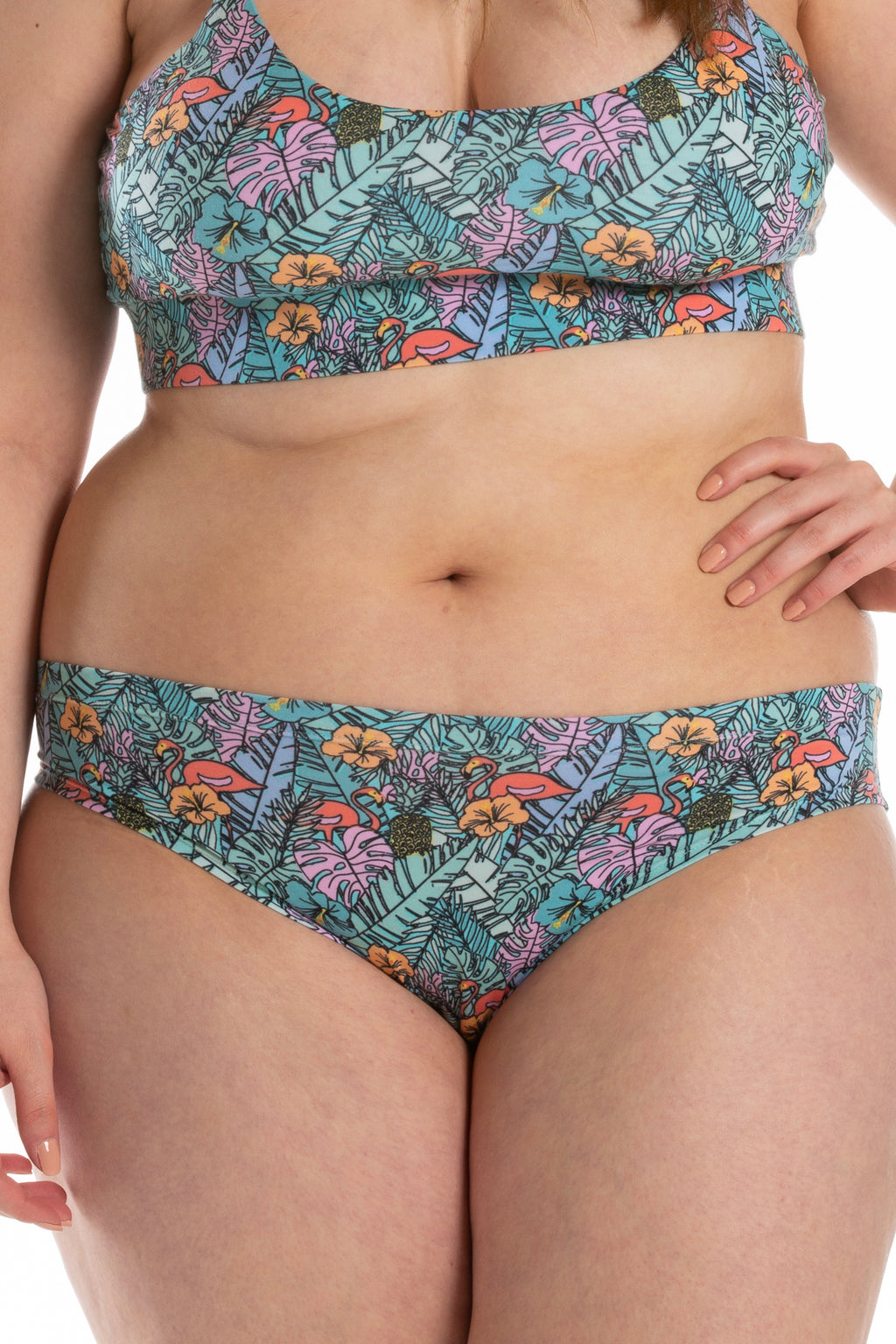 The Hot Tropic | Tropical Flamingo Modal Bikini Underwear - Shinesty