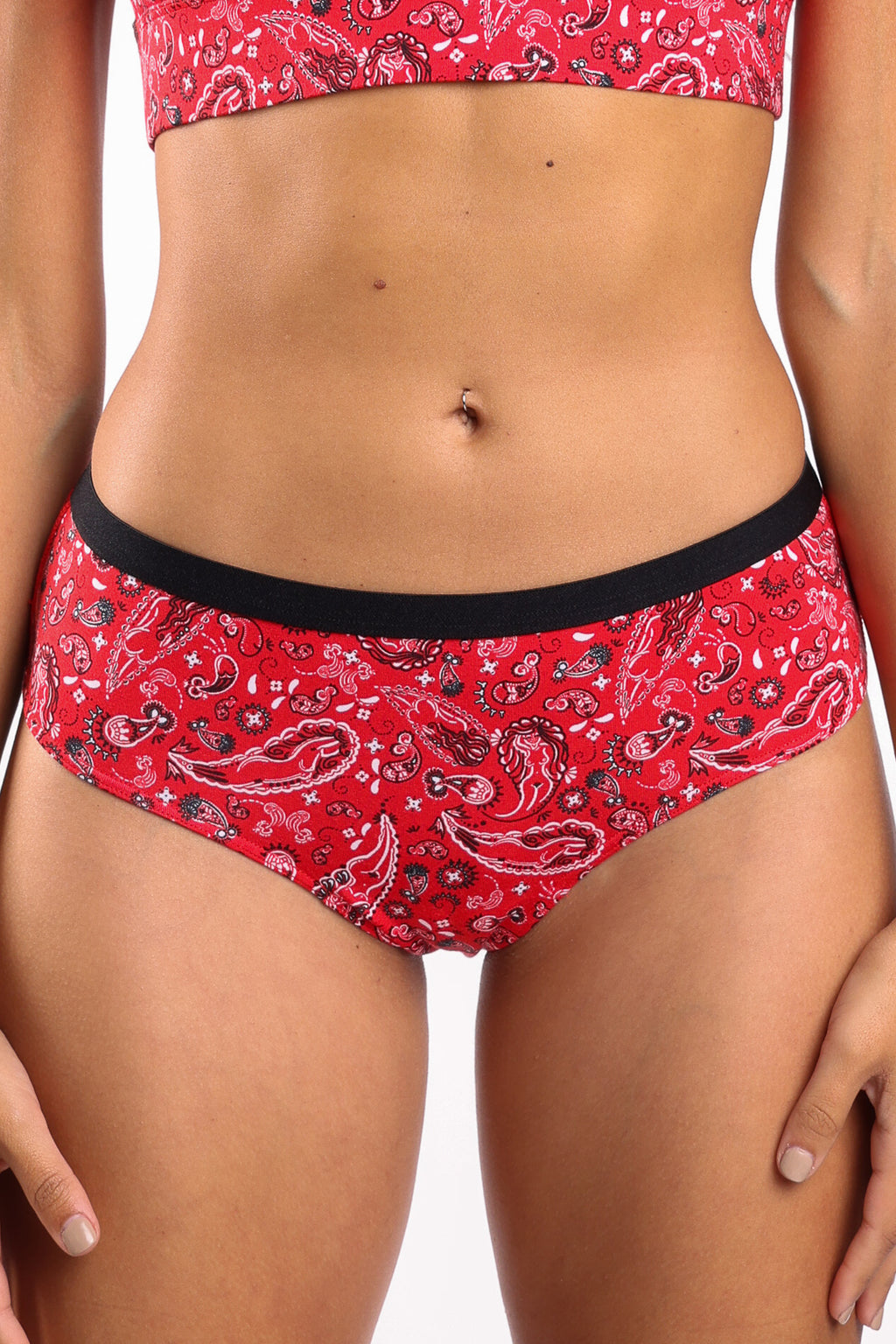 The Outlaw | Naughty Paisley Cheeky Underwear - Shinesty