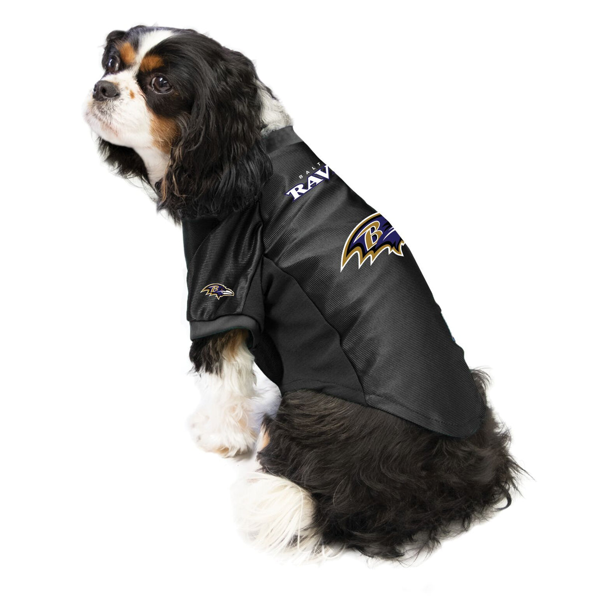 The Baltimore Ravens | Pet Stretch Jersey - Shinesty